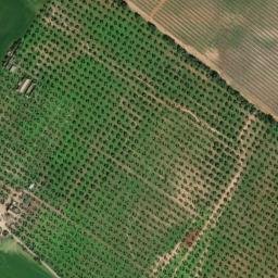 Satellite imagery of survey_point, DZ