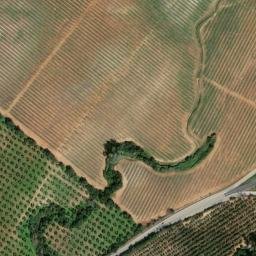 Satellite imagery of survey_point, DZ