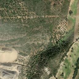 Satellite imagery of survey_point, DZ