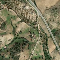 Satellite imagery of survey_point, DZ