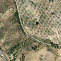 Satellite imagery of survey_point, DZ