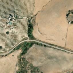 Satellite imagery of survey_point, DZ