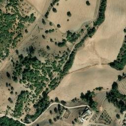 Satellite imagery of survey_point, DZ
