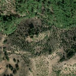 Satellite imagery of survey_point, DZ
