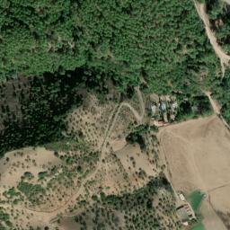 Satellite imagery of survey_point, DZ