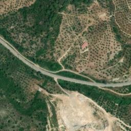 Satellite imagery of survey_point, DZ