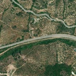 Satellite imagery of survey_point, DZ