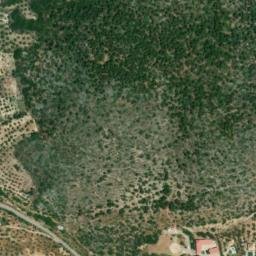 Satellite imagery of survey_point, DZ