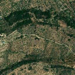 Satellite imagery of survey_point, DZ