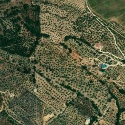 Satellite imagery of survey_point, DZ