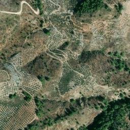 Satellite imagery of survey_point, DZ
