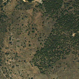 Satellite imagery of survey_point, DZ
