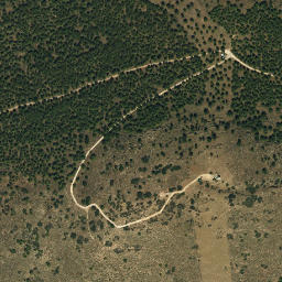 Satellite imagery of survey_point, DZ
