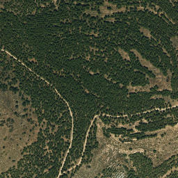 Satellite imagery of survey_point, DZ