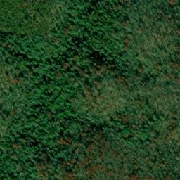 Satellite imagery of Sandy Poplar Ridge, US