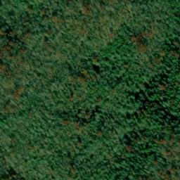 Satellite imagery of Sandy Poplar Ridge, US