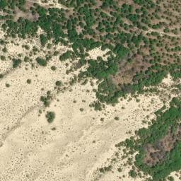 Satellite imagery of survey_point, DZ