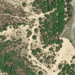 Satellite imagery of survey_point, DZ