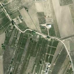 Satellite imagery of survey_point, DZ