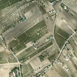 Satellite imagery of survey_point, DZ
