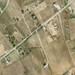 Satellite imagery of survey_point, DZ