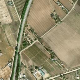 Satellite imagery of survey_point, DZ