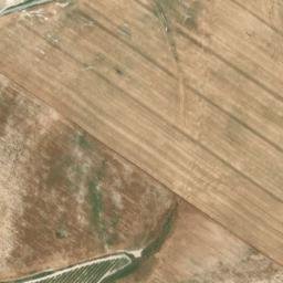 Satellite imagery of survey_point, DZ