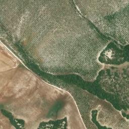 Satellite imagery of survey_point, DZ