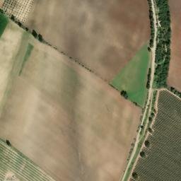 Satellite imagery of survey_point, DZ