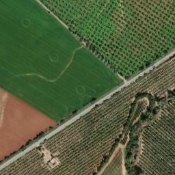 Satellite imagery of survey_point, DZ