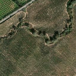 Satellite imagery of survey_point, DZ