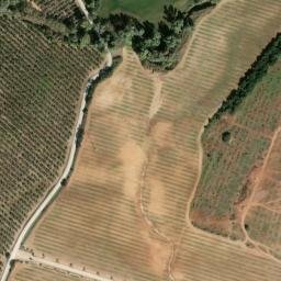 Satellite imagery of survey_point, DZ