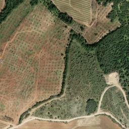 Satellite imagery of survey_point, DZ