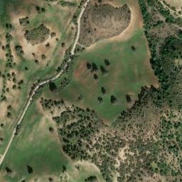 Satellite imagery of survey_point, DZ