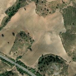 Satellite imagery of survey_point, DZ