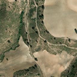 Satellite imagery of survey_point, DZ