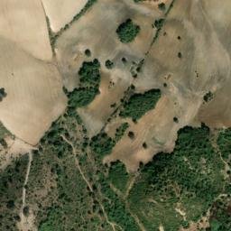 Satellite imagery of survey_point, DZ
