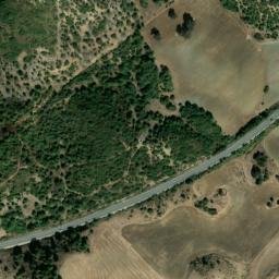 Satellite imagery of survey_point, DZ