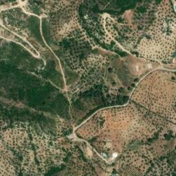 Satellite imagery of survey_point, DZ