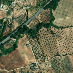Satellite imagery of survey_point, DZ