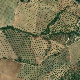 Satellite imagery of survey_point, DZ