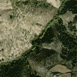 Satellite imagery of survey_point, DZ