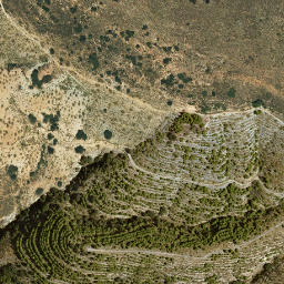 Satellite imagery of survey_point, DZ