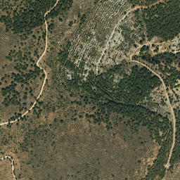 Satellite imagery of survey_point, DZ