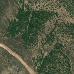 Satellite imagery of survey_point, DZ