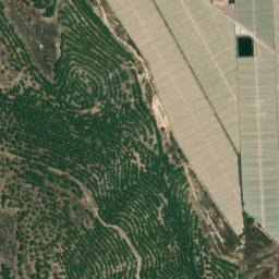 Satellite imagery of survey_point, DZ