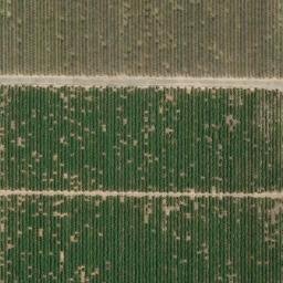 Satellite imagery of T 247 — NGS GT1683 — Clovis, US, US