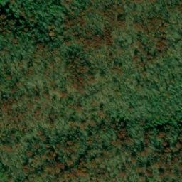 Satellite imagery of Sandy Poplar Ridge, US