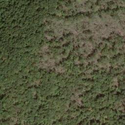 Satellite imagery of Fork Ridge, US