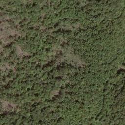 Satellite imagery of Fork Ridge, US